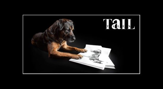 featured-tailtailesbook