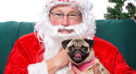 featured-santapaws