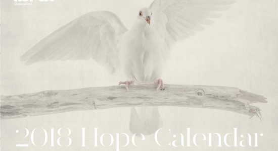 rspca-hopecalendar-2018-cover-title-image