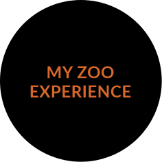 https://www.zoostudio.com.au/wp-content/uploads/2021/07/my-zoo-experience.png